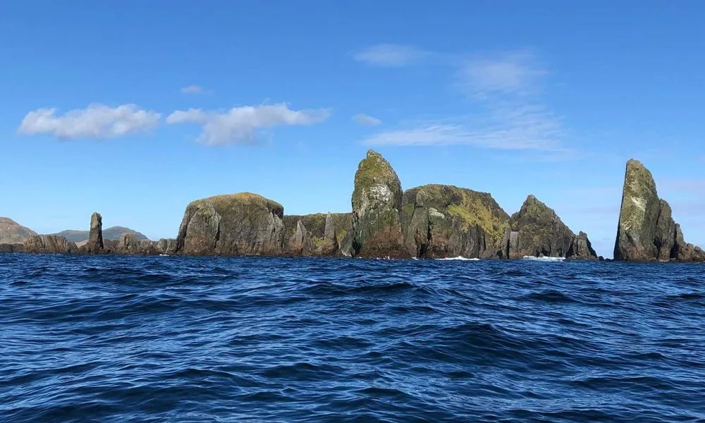 WhaleSound prepara expedición de siete días a Isla Noir
