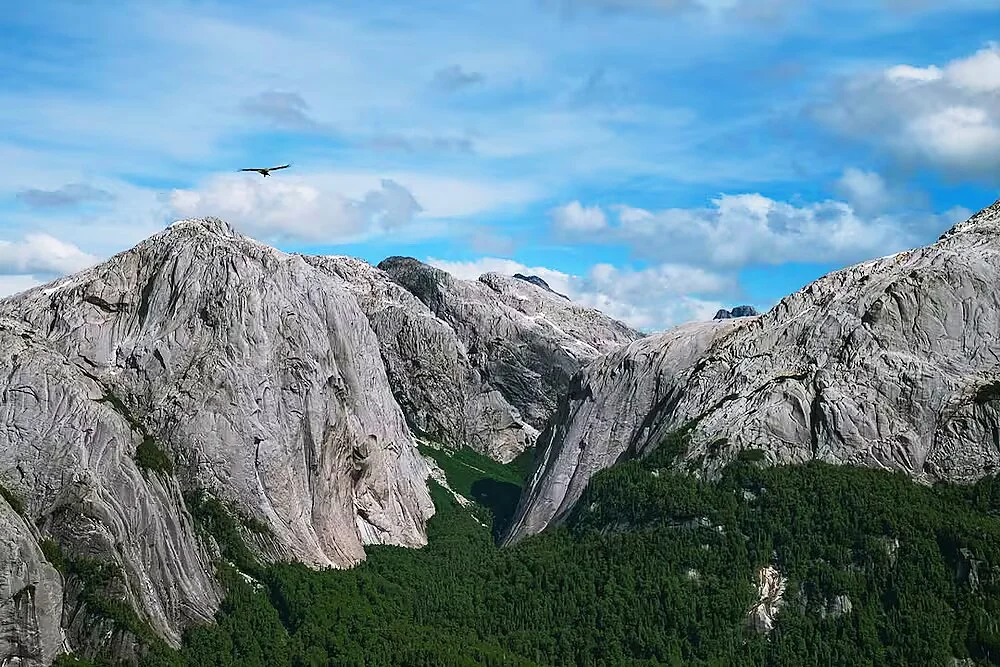 Pucheguín: how a historic campaign saved 133,000 hectares in Chilean Patagonia
