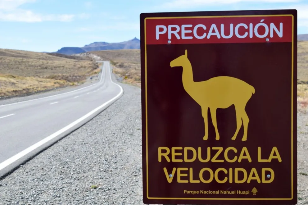 Caution sign for guanacos on a Patagonian road