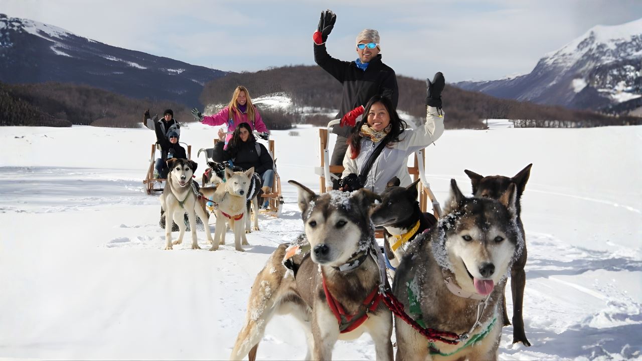 Trineo de perros husky en Ushuaia — actividad invernal